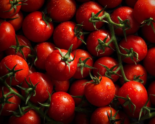 Tomato Based Products